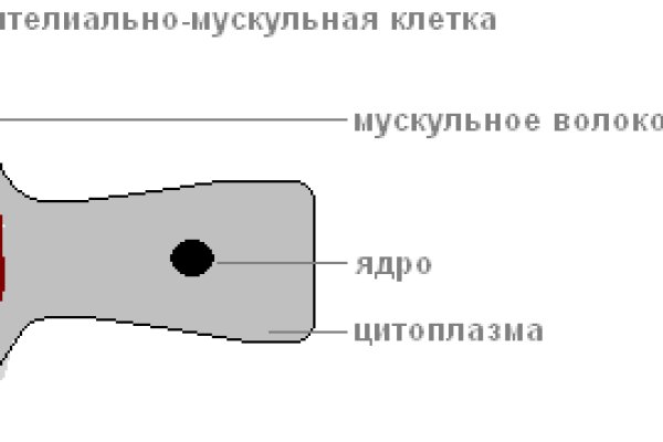 Блэкспрут через тор 1blacksprut me